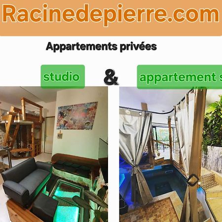 Racine De Pierre Apartamento Castres  Exterior foto