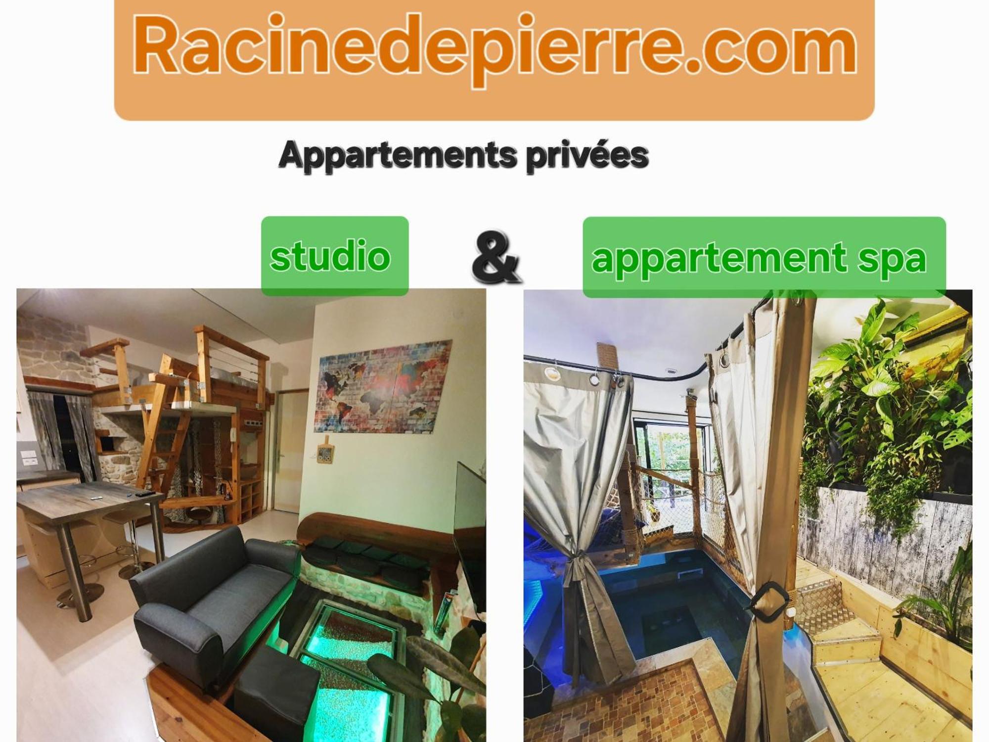 Racine De Pierre Apartamento Castres  Exterior foto